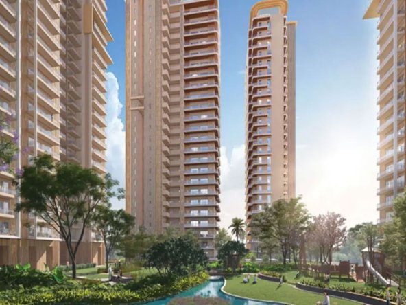 ivory-county-gallery1