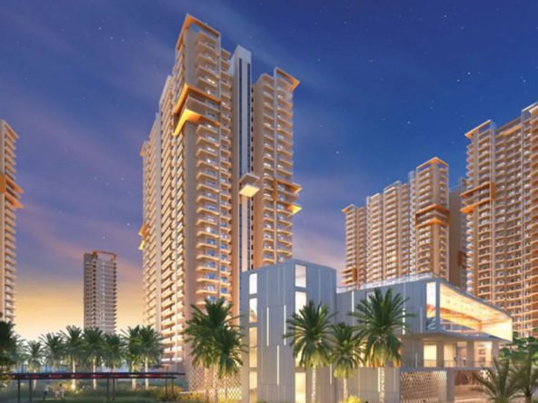 ivory-county-gallery2