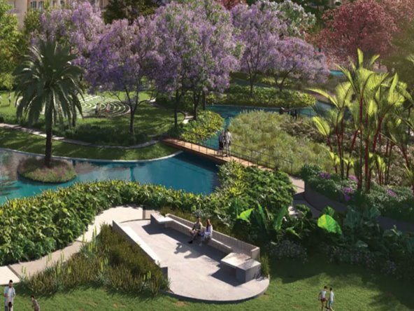 ivory-county-gallery3